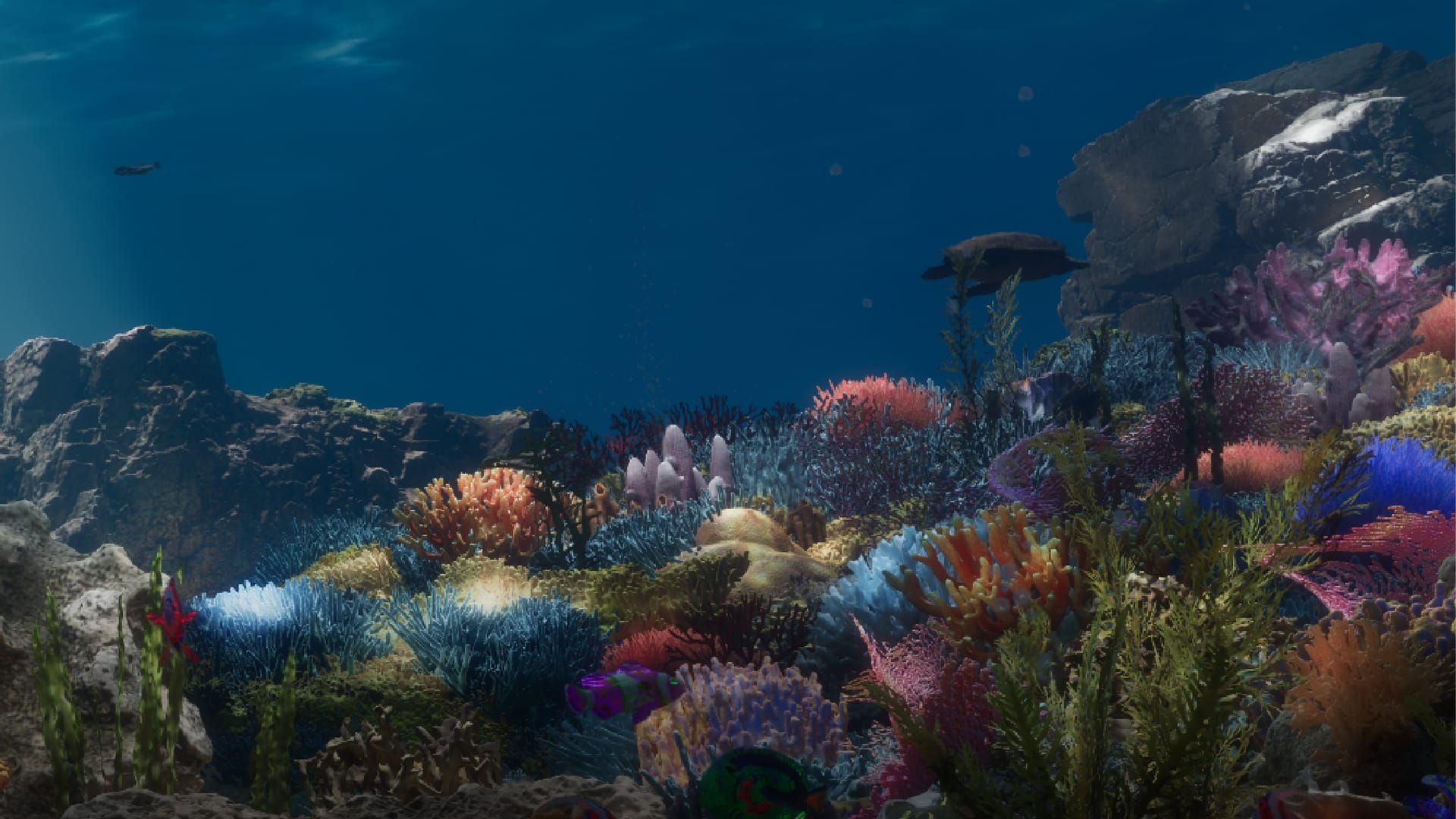immersify-gallery-c