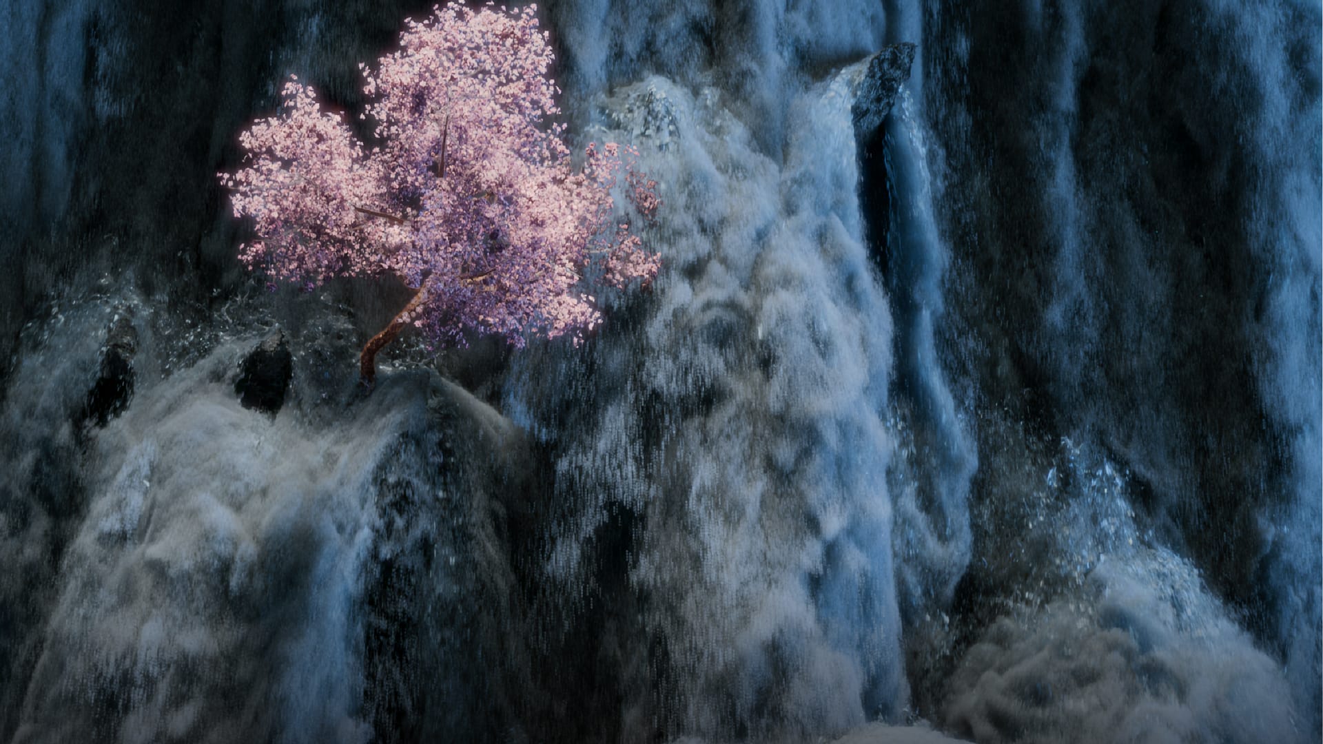 immersify-gallery-d
